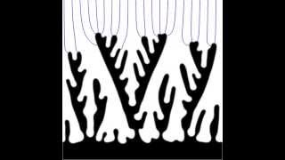 Phasefield simulation of zinc electrodeposition [upl. by Yerfdog]