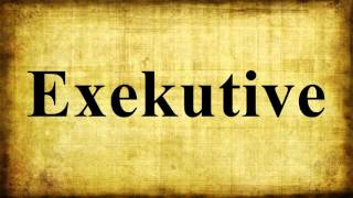 Exekutive [upl. by Icul]