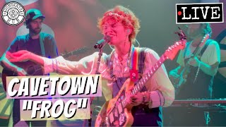 Cavetown quotFrogquot LIVE [upl. by Kreis954]