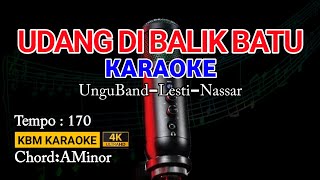 UDANG DI BALIK BATU KARAOKE Ungu Band Lesti Nassar  DANGDUT [upl. by Sairu422]