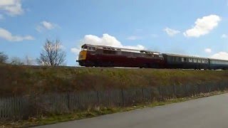 D1015 Western Champion Working The Maybach Yorky 10th April 2016 [upl. by Ecirtac592]