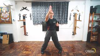 Siu Lin Tao Avançado  Wing Chun Kung Fu  Novo Hamburo  RS [upl. by Otinauj]