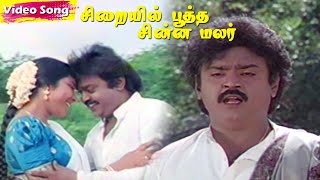 Sirayil Pootha Chinna Malar Songs  Vijayakanth  Bhanupriya  Ilaiyaraaja  Tamil Hit Songs [upl. by Anoel]