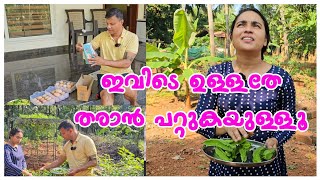 ഇവിടെ ഉള്ളത് കിട്ടുംAgriculture tips Krishi Day in my life Family vlog Thrissurkkaran [upl. by Yaras355]