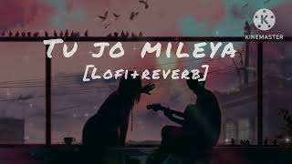 TU JO MILEYA  LOFI  REVERB SLOWED SONG  lofimusic viral song romanticmusic punjabisong [upl. by Justine122]