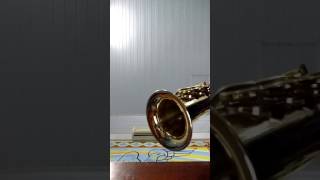 Testando sax soprano Hoyden e boquilha Bari 68 [upl. by Mcneil]