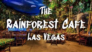 The Rainforest Cafe in Las Vegas  Indoor Thunderstorms and Jungle Vines [upl. by Aihsenet289]