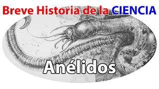 Anélidos Los Ingenieros Subterráneos del Mundo Natural  Breve Historia de la Ciencia [upl. by Dreeda529]