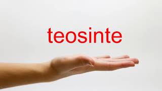 How to Pronounce teosinte  American English [upl. by Gasperoni662]