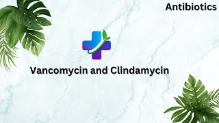 Vancomycin and Clindamycin  Sinhala explanation [upl. by Nav]