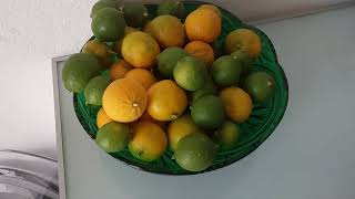 Limun Mandarina Grejp Limeta [upl. by Hoffman]