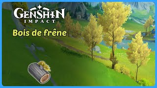 Bois de frêne  Route de farm  Genshin Impact [upl. by Lohrman729]