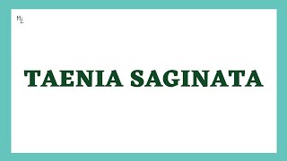 Taenia saginata  Lifecycle pathogenesis lab diagnosis  Beef Tapeworm  Taeniasis  MEDZUKHRUF [upl. by Biondo]