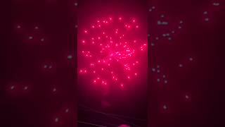 Pink out vinitha fireworks fireworks sivakasicrackerspricelist top quality balaji fireworks [upl. by Kristien789]