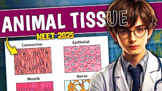 ANIMAL TISSUE ONE SHOT 🔥 QUICK REVISION NEET 20252026  CLASS 11 BIOLOGY ONESHOT REVISION neet [upl. by Feliks460]