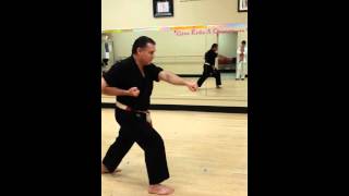 Traditional ChitoRyu kata Shi Ho Hai four square [upl. by Nevsa]