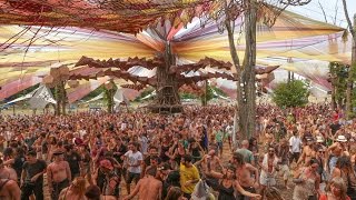 Darwish Live  OZORA festival 2016 [upl. by Ahsienom]