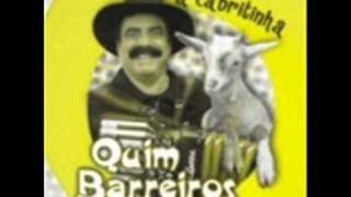 Quim Barreiros  A cabritinha Remix RBoy [upl. by Zola927]