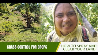 Grass Control for Crops How to Spray and Clear Your Land [upl. by Drexler]