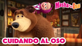 Masha y el Oso 2024 🐻👱‍♀️ Cuidando al Oso 🐾👣 1 hora 🤗 Dibujos animados 🎬 Masha and the Bear [upl. by Eisler]