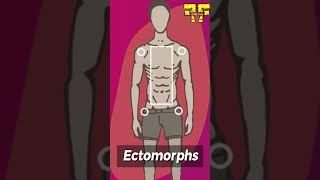 Which Body Type Are You ectomorph mesomorph or endomorph bodytypes fitnesstips [upl. by Lumbard981]