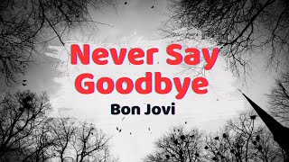 Bon Jovi  Never Say Goodbye Lyrics [upl. by Evad]