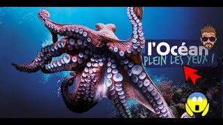 VLOG OCEARIUM CROISIC PART 1 [upl. by Naor]