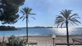 Paguera ❤️ Boulevard 😎 November auf Mallorca 🇪🇸 Palmira 🌴 Tora Strand 🏖️ Erholung ❤️ 18° ☀️🤗 [upl. by Aninotna]