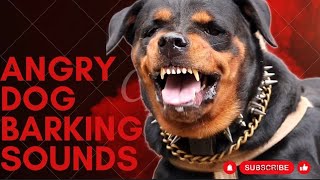 Epic Dog Barking Compilation See How Your Dogs REACTS and Cant Resist [upl. by Ecnerol112]