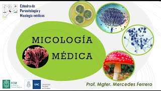 MICOLOGÍA MÉDICA [upl. by Jeffy590]