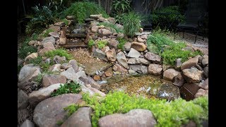 smartpond® Waterfall Pumps [upl. by Danni]