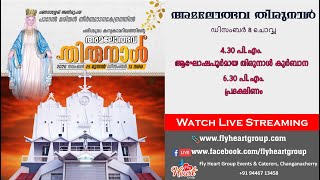 St Marys Church Parel Changanacherry Thirunal Holy Qurbana and Procession Live Streaming [upl. by Waldron]