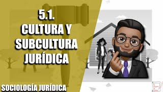 Cultura y subcultura jurídica [upl. by Esylle]