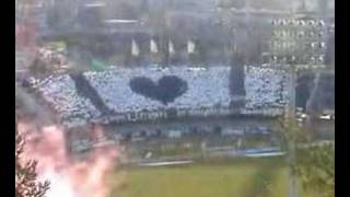 Settembre Bianconero  TIFO [upl. by Candra614]