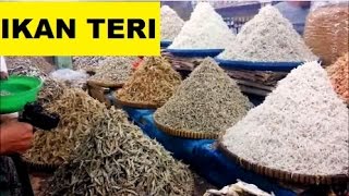 Ikan Teri Medan di Pasar Tradisional Anchovy [upl. by Krebs886]