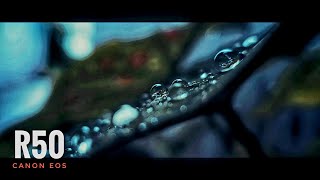 Canon EOS R50 Cinematic Footage [upl. by Celio1]