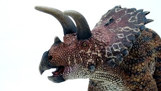 Coahuilaceratops [upl. by Myrta]