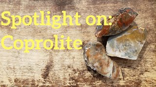 Spotlight on Coprolite [upl. by Westlund190]