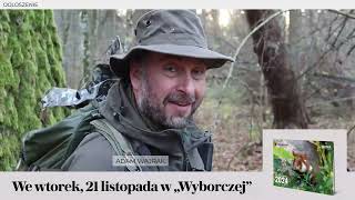 Kalendarz przyrodniczy Adama Wajraka na 2024 we wtorek 21 listopada w Wyborczej [upl. by Boleslaw]