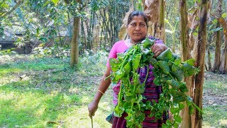 Vegetable Recipe Malabar Spinach with Black Gram Cooking Recipe in Village  Village Food Factory [upl. by Kasey]