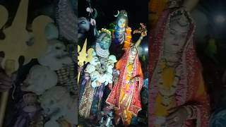 बीरगांव महाशिवरात्रि शोभायात्र 😍🫢 Birgaon Aghori baba Jhaki [upl. by Hsevahb]