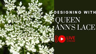 Designing With Queen Annes Lace  LIVE [upl. by Michaeu]