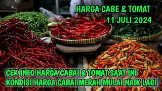 Harga cabai merah hari ini 11 Juli 2024  Info harga tomat dan cabai saat ini di Jawa Timur [upl. by Lynus281]