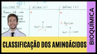 COMO CLASSIFICAR OS AMINOÁCIDOS PELA CADEIRA LATERAL [upl. by Truelove]