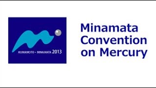 Anita Tibau IAOMT speech to the Minamata Convention on Mercury [upl. by Lannie]