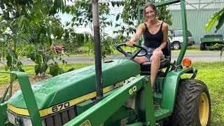 Laura Farms Visits A Coffee Farm In Hawai’i [upl. by Akinej]