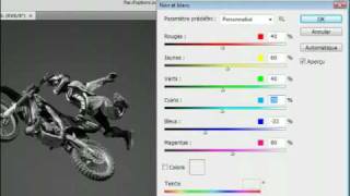 Adobe Photoshop CS4  Passer une image couleur en noir et blanc [upl. by Anait60]