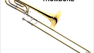 TROMBONE SOUND [upl. by Pattison879]