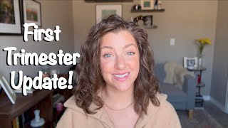 FIRST TRIMESTER UPDATE Second Pregnancy and With A Toddler At Home What Is Different This Time [upl. by Mufi850]