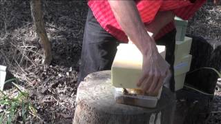 Part 4 Extracting Honey from an Australian Native Beehive [upl. by Earahc833]